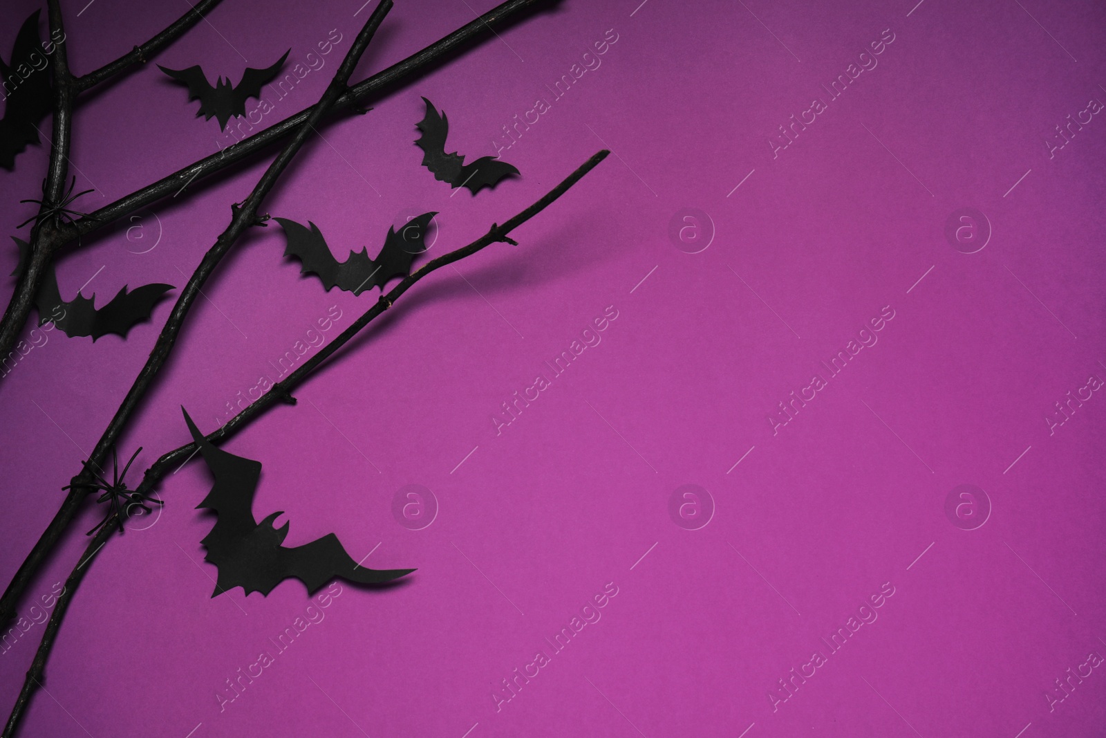 Photo of Black branches, paper bats and spiders on purple background, above view with space for text. Halloween celebration