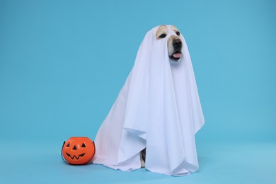 Cute Labrador Retriever dog wearing ghost costume with Halloween bucket on light blue background