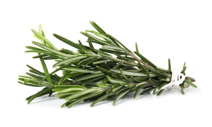 Photo of Bunch of fresh rosemary on white background