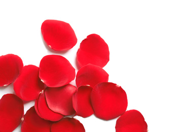 Photo of Fresh red rose petals on white background, top view