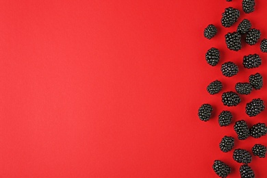 Photo of Tasty ripe blackberries on red background, flat lay. Space for text