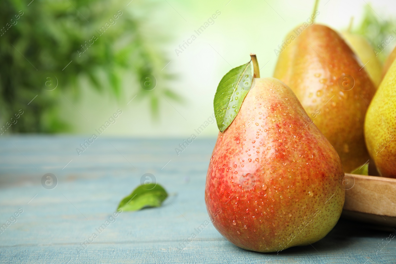 Photo of Ripe juicy pears on blue wooden table against blurred background, closeup. Space for text