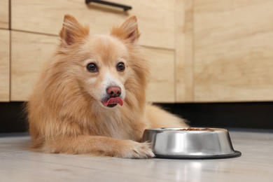 Photo of Cute Pomeranian spitz dog near feeding bowl on floor indoors