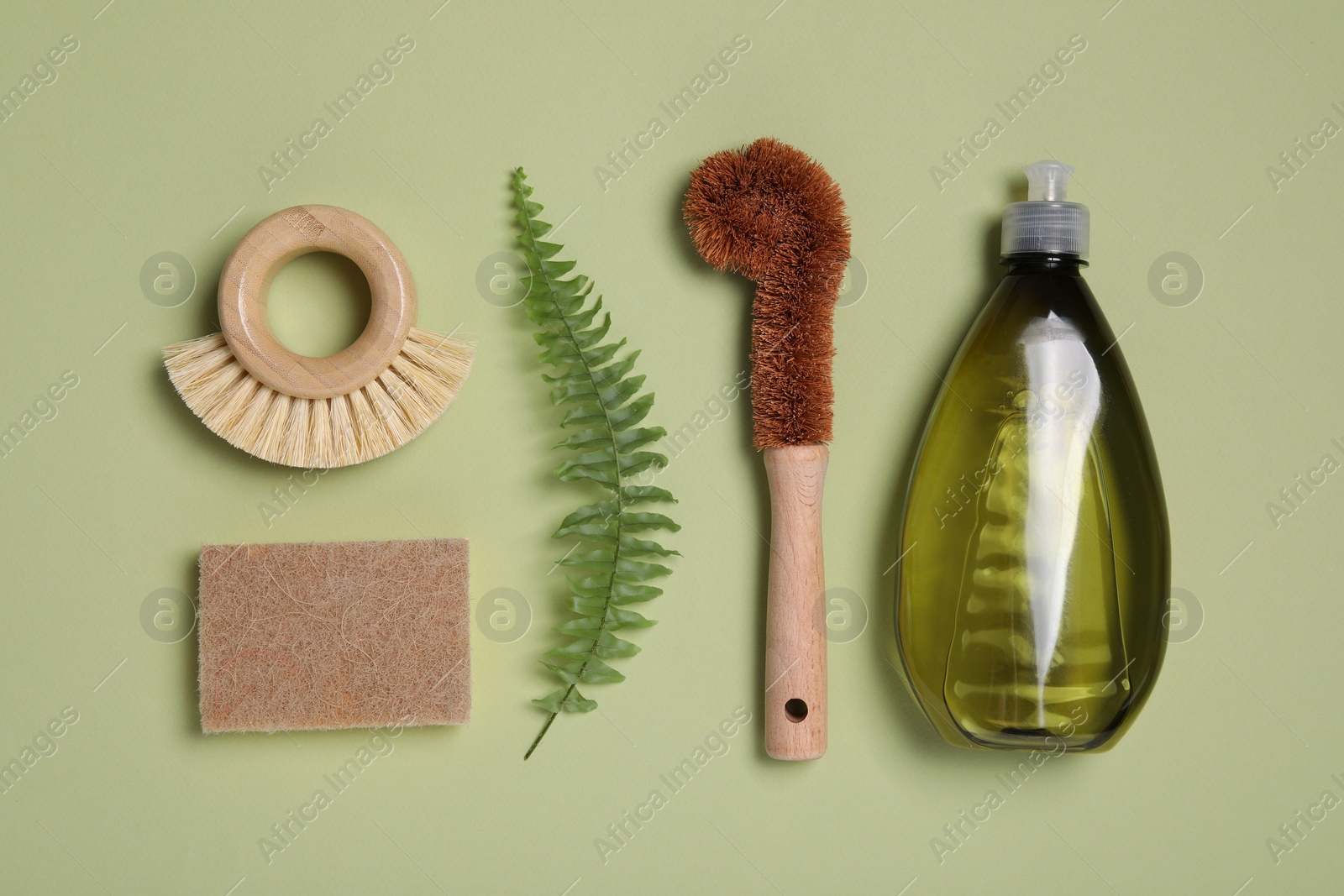 Photo of Bottle of cleaning product, brushes, sponge and fern leaf on green background, flat lay