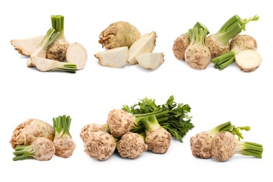 Image of Whole and sliced celery roots isolated on white, collage design