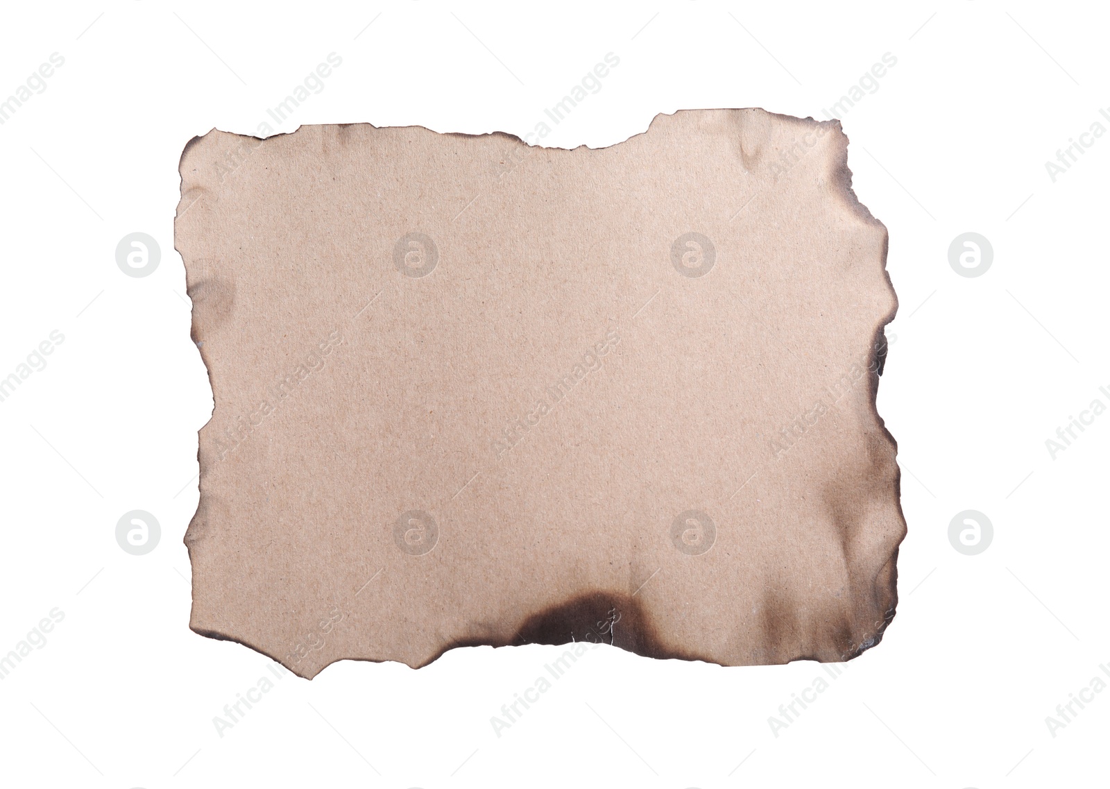 Photo of Piece of paper with dark burnt borders isolated on white. Space for text