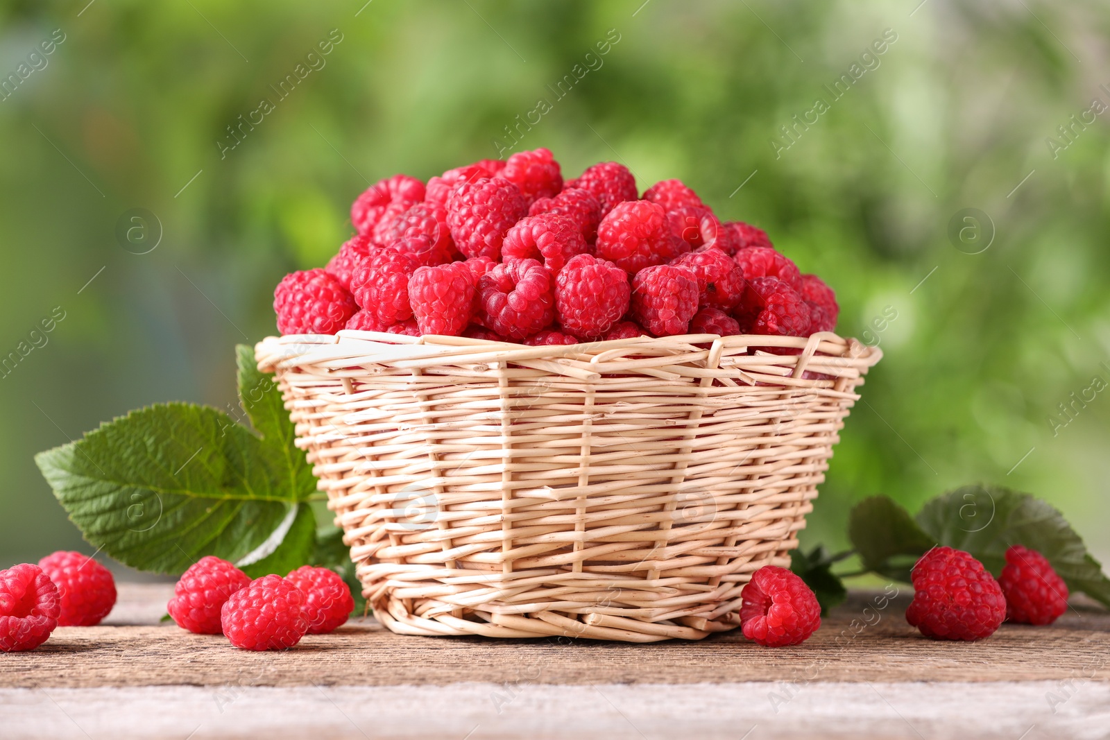 Photo of Wicker basket with tasty ripe raspberries and leaves on wooden table against blurred green background