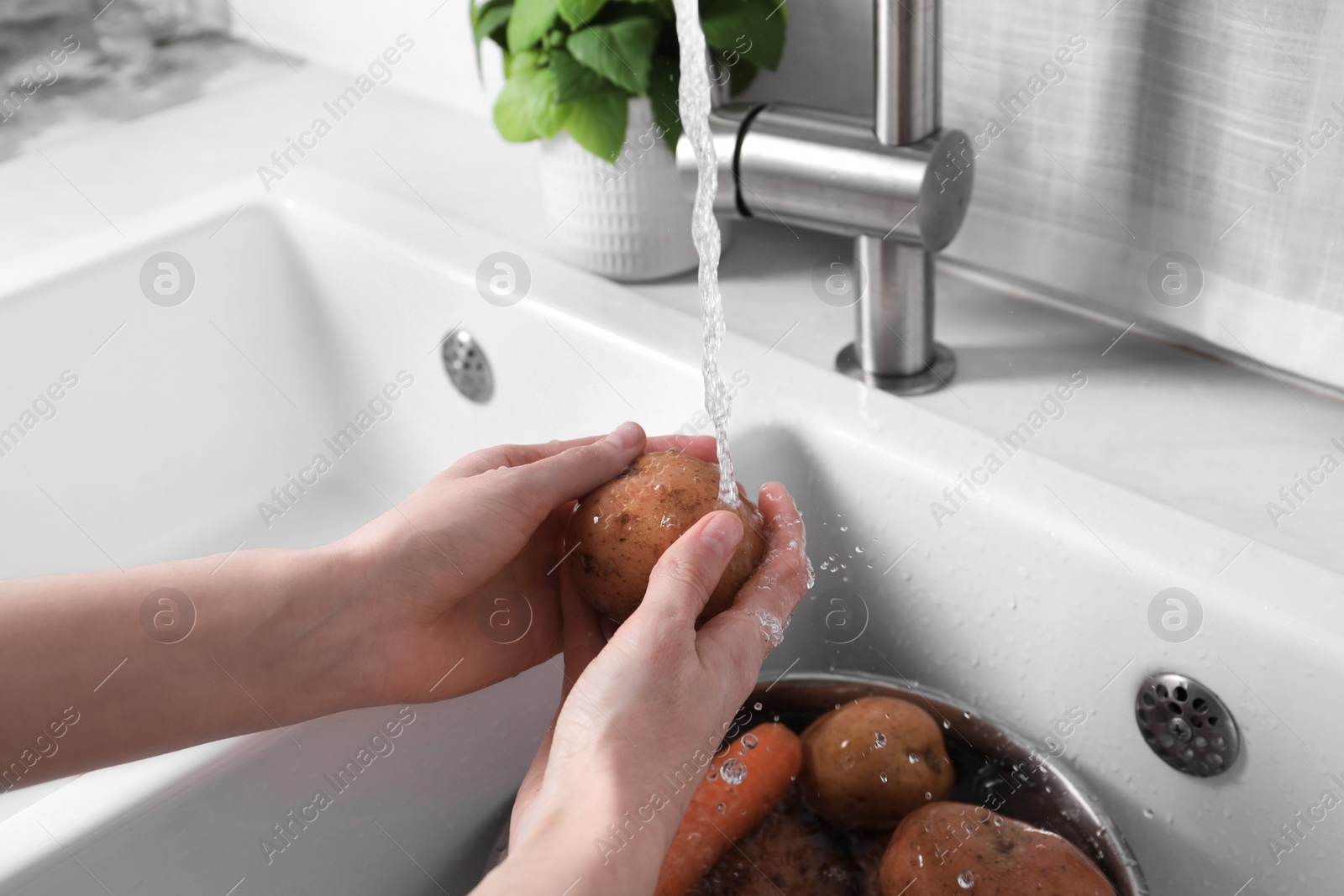 Photo of Woman washing fresh potato in kitchen sink, closeup. Cooking vinaigrette salad