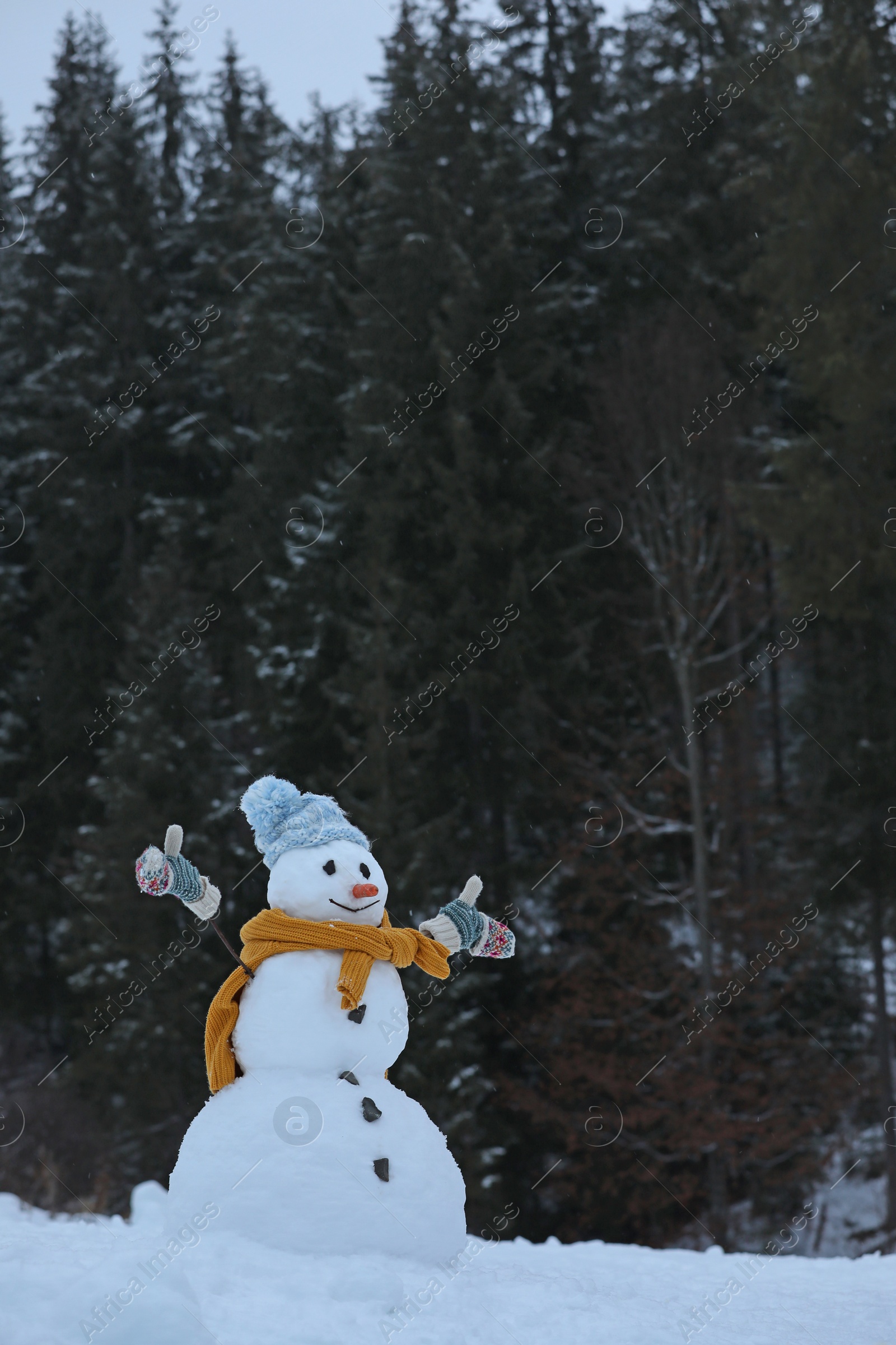 Photo of Adorable smiling snowman outdoors on winter day