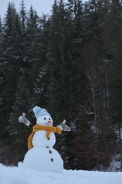 Adorable smiling snowman outdoors on winter day