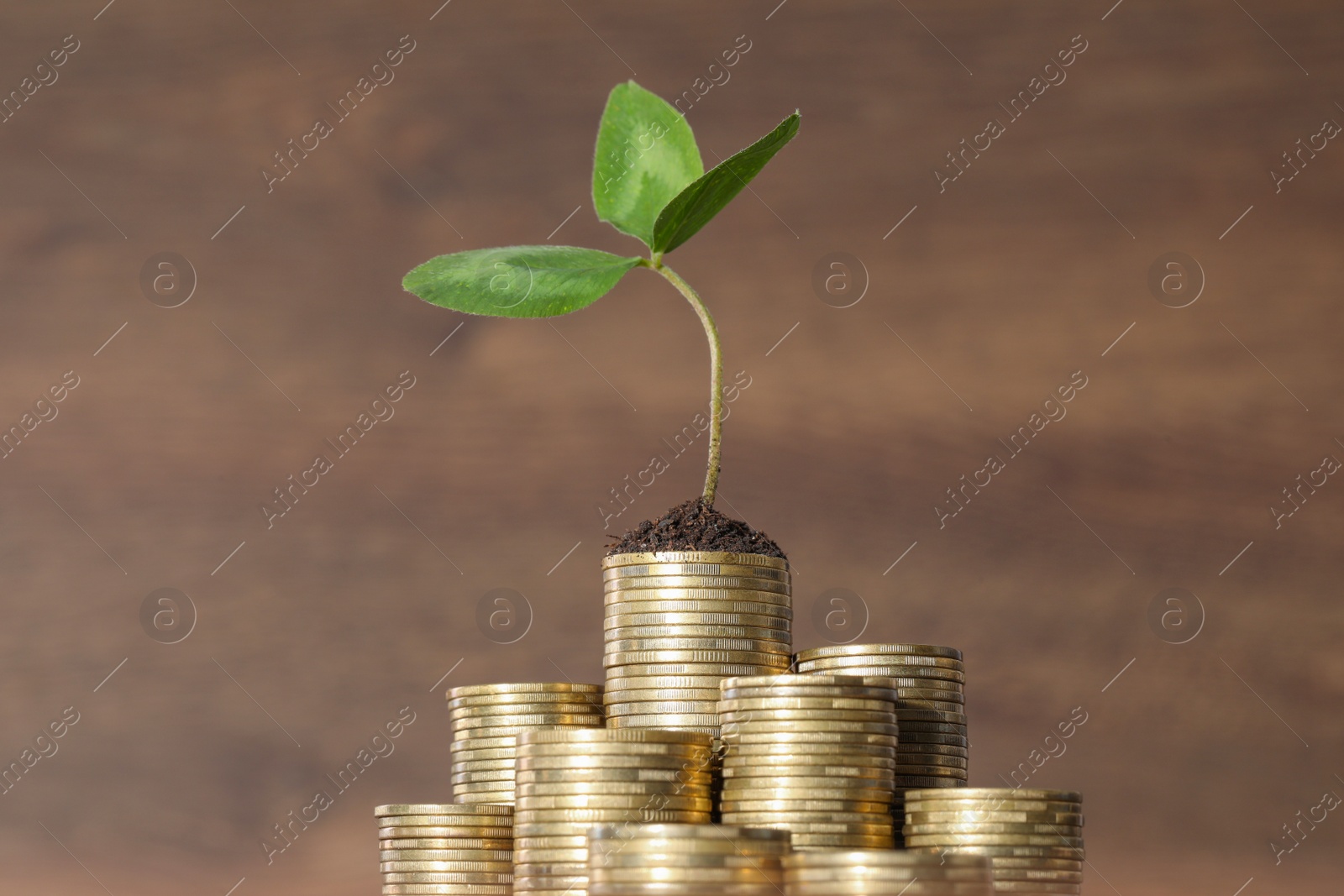 Photo of Stacks of coins and green sprout on blurred background, closeup. Investment concept