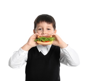 Photo of Happy boy eating sandwich on white background. Healthy food for school lunch