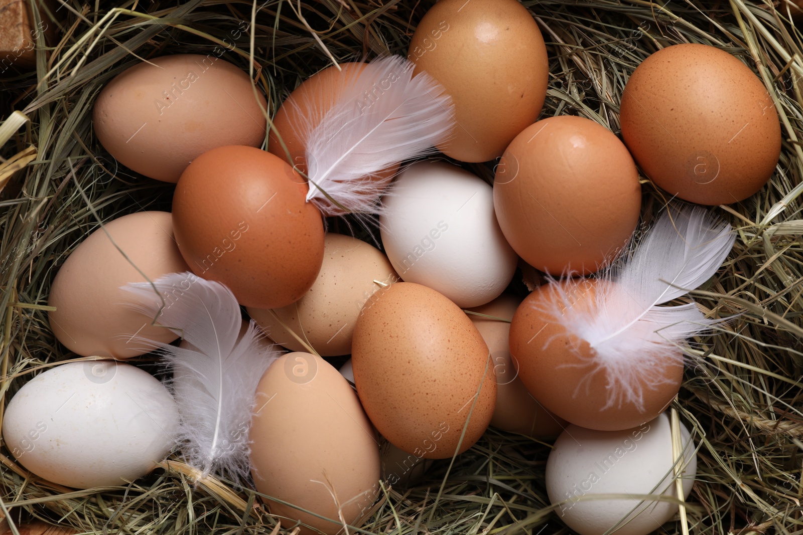 Photo of Fresh chicken eggs and dried hay in crate, top view