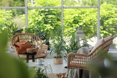 Photo of Indoor terrace interior with elegant furniture and houseplants