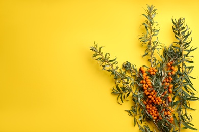 Photo of Branches of sea buckthorn on yellow background, flat lay. Space for text