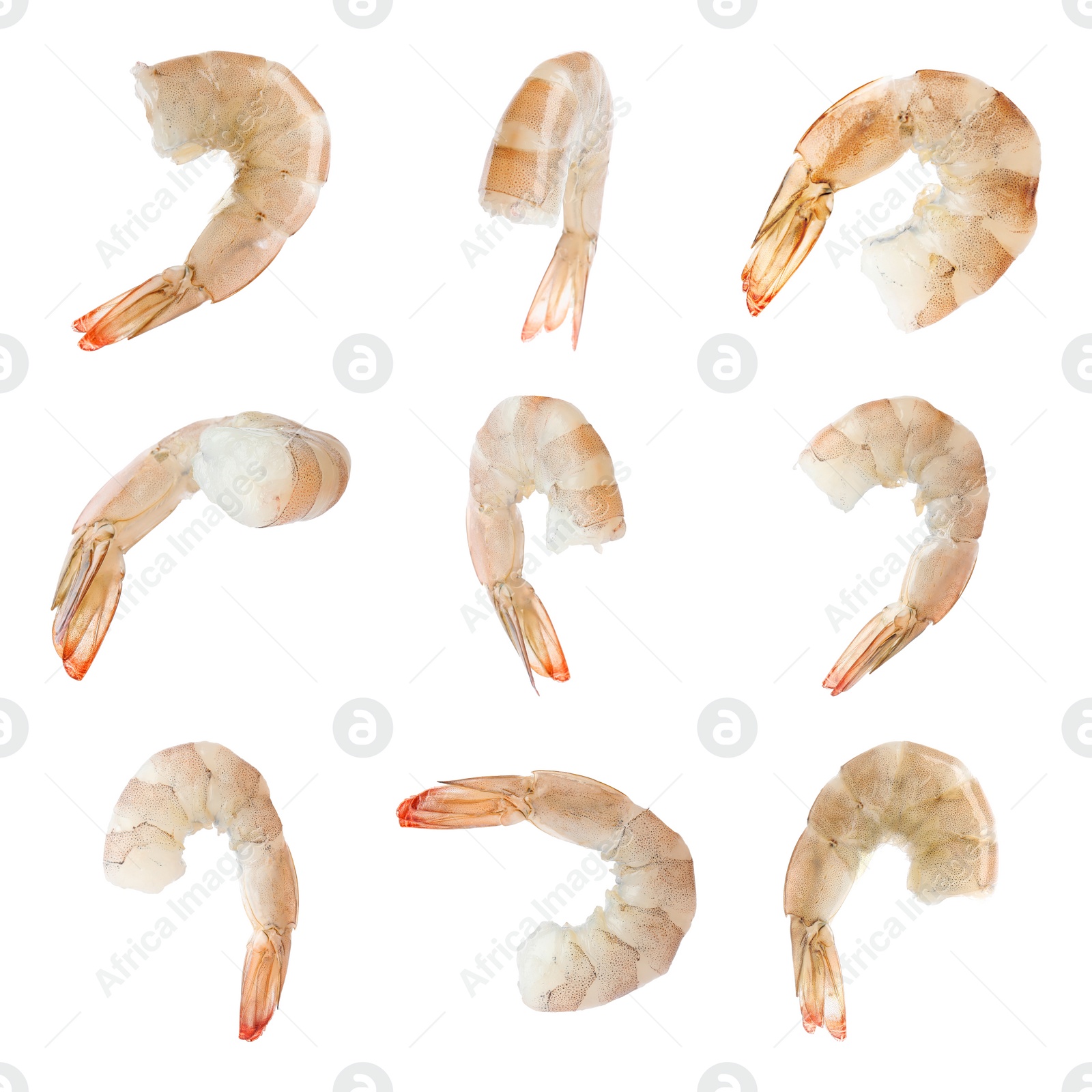 Image of Collage of raw shrimps on white background