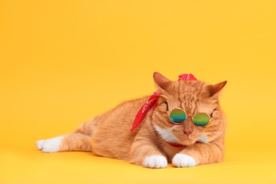 Photo of Cute ginger cat in stylish sunglasses and bandana on yellow background. Space for text