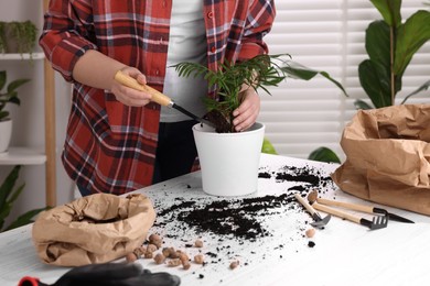 Woman transplanting houseplant at white table indoors, closeup