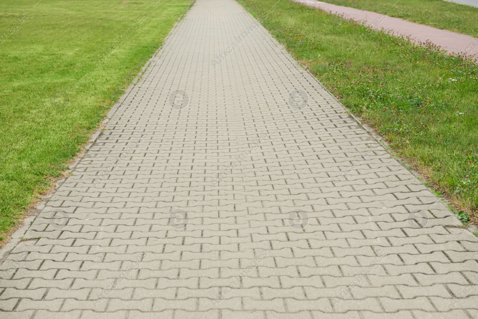 Photo of View of sidewalk path and fresh green grass on sunny day. Footpath covering