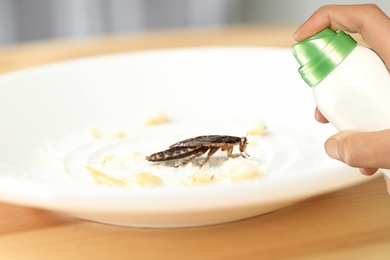Image of Pest control. Using household insecticide to kill cockroach at home, closeup