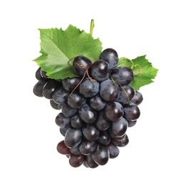 Bunch of fresh ripe juicy dark blue grapes with leaves isolated on white