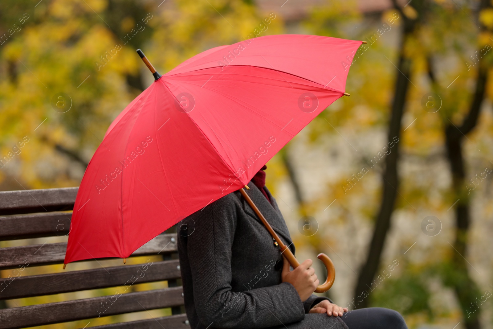 Photo of Woman with red umbrella sitting on bench in autumn park