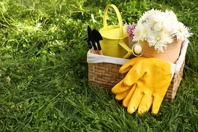 Wicker basket with gardening gloves, flowers and tools on grass outdoors. Space for text
