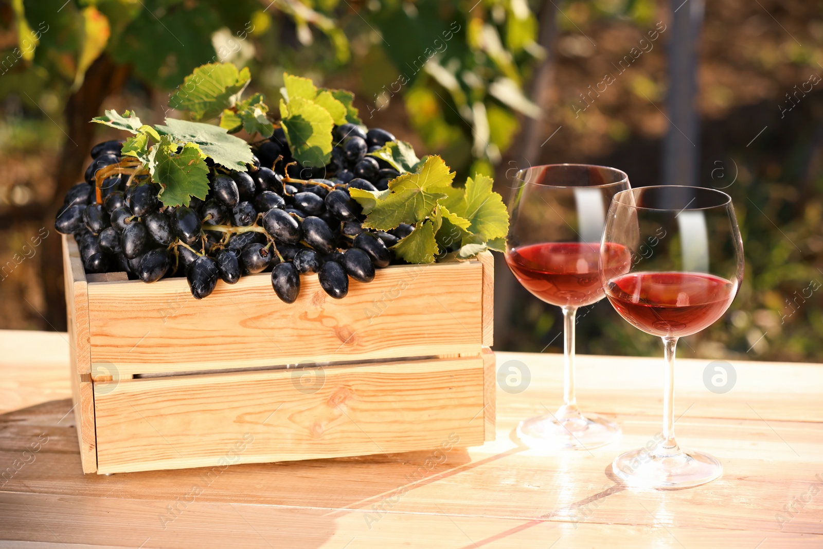 Photo of Composition with wine and ripe grapes on table outdoors