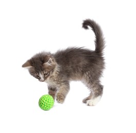 Photo of Cute kitten playing with ball on white background. Pet toy