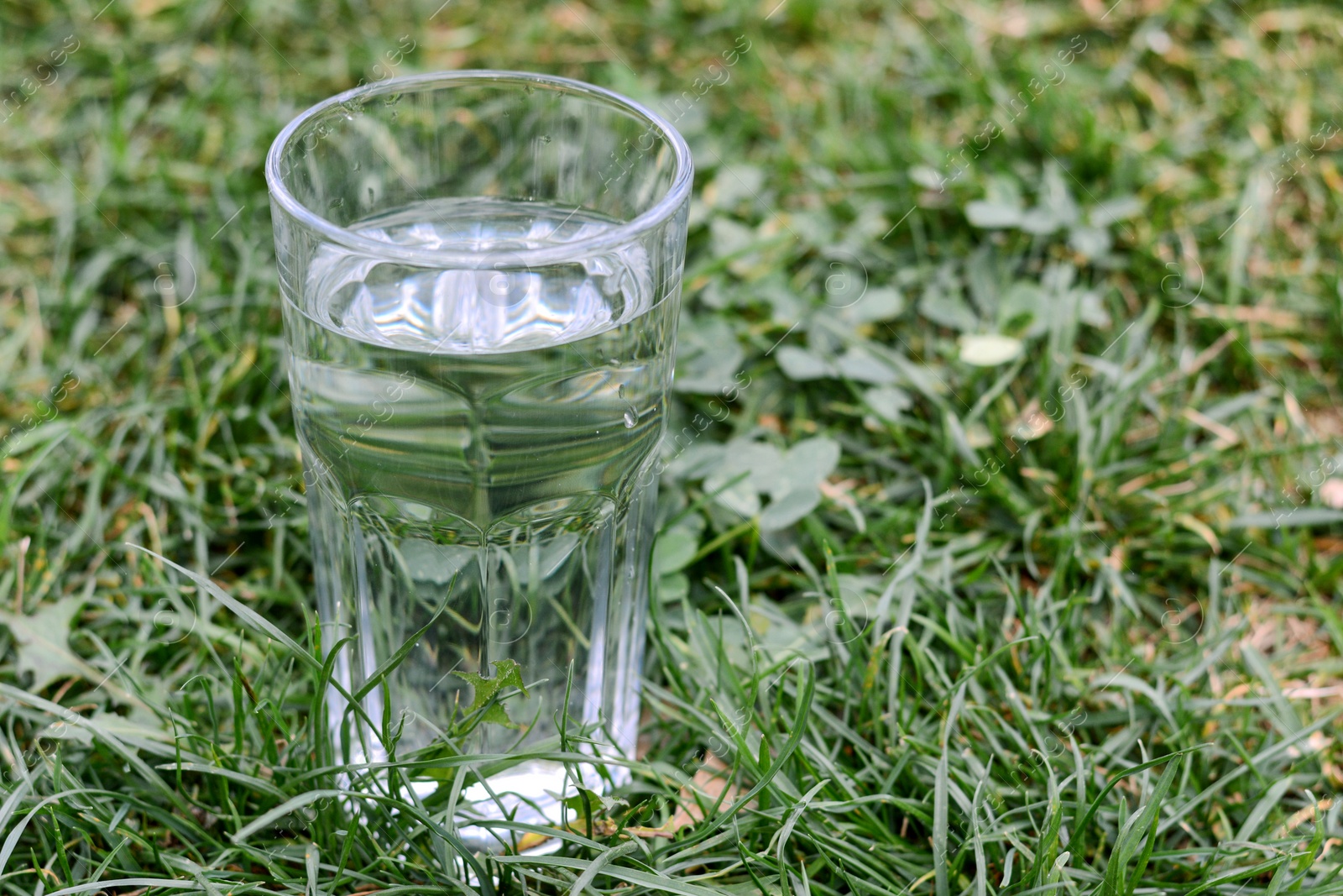 Photo of Glass with pure water on green grass outdoors, space for text