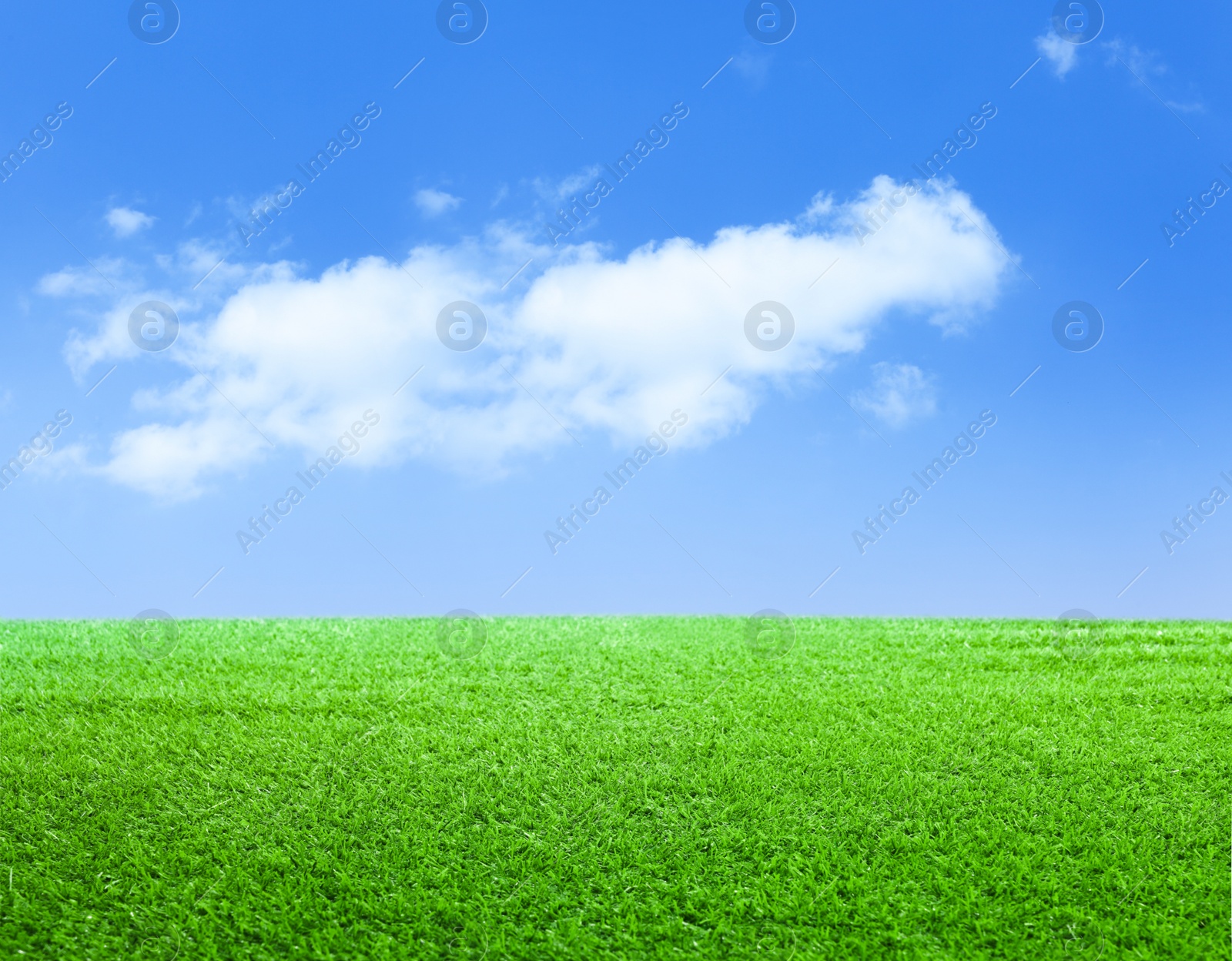 Image of Green grass under blue sky with clouds