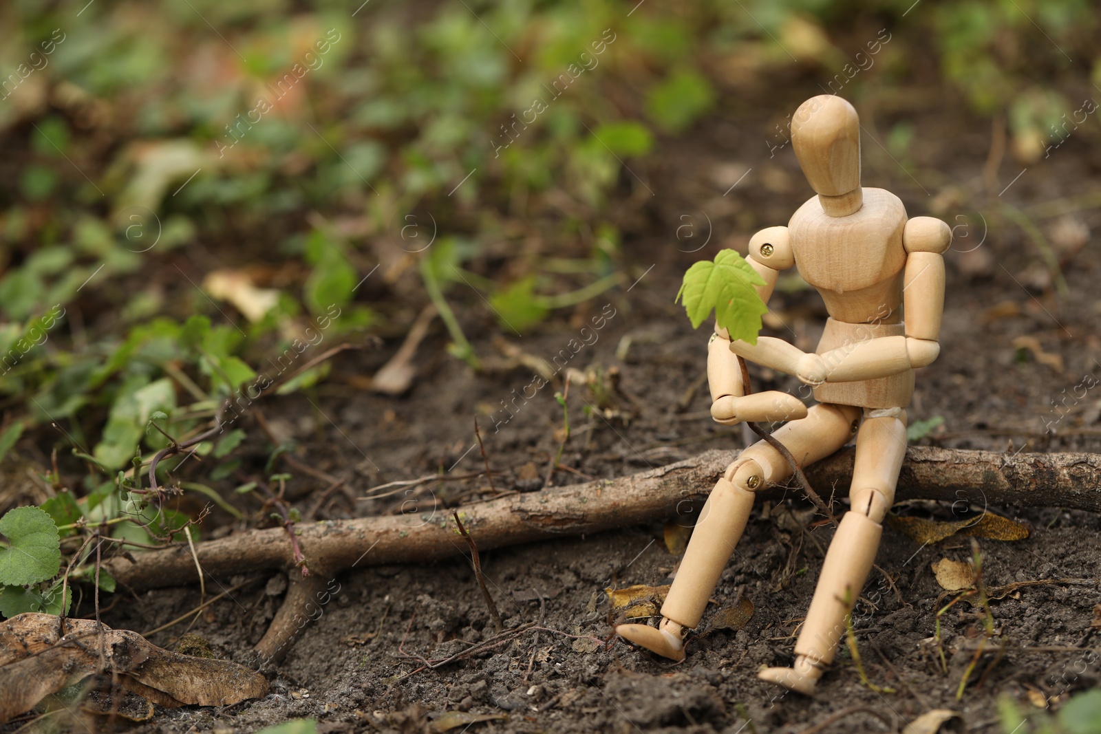 Photo of Wooden human figure with young green seedling on soil outdoors, space for text