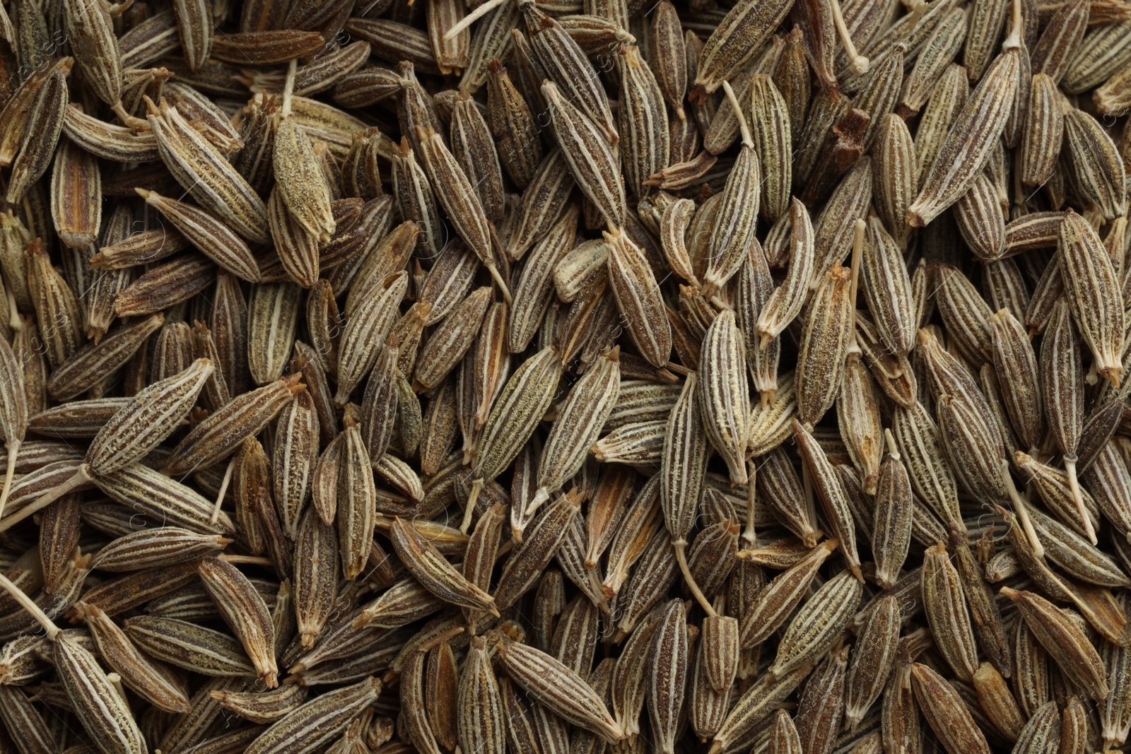 Photo of Aromatic caraway seeds as background, top view