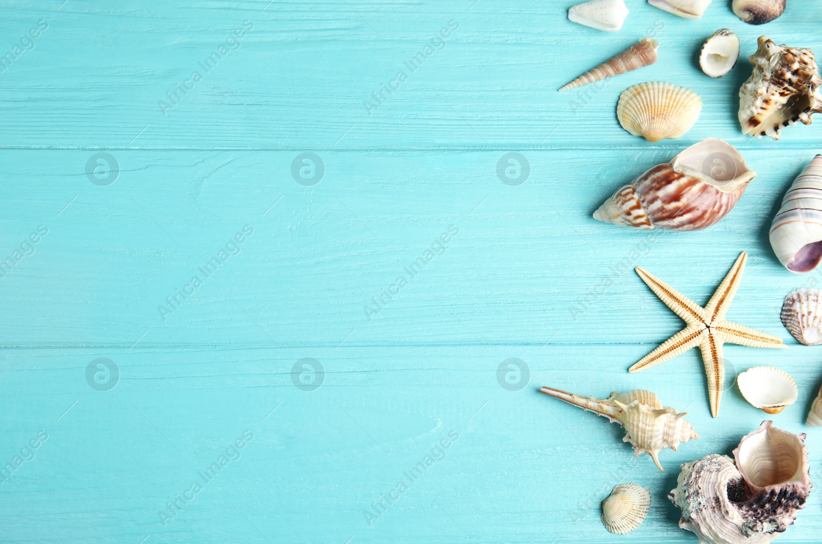 Photo of Flat lay composition with beautiful starfish and sea shells on blue wooden table, space for text