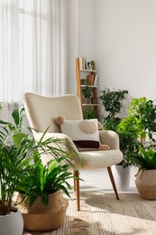 Photo of Relaxing atmosphere. Many different potted houseplants around stylish armchair in room