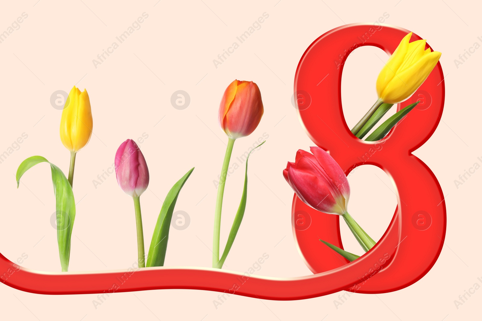 Image of March 8 - International Women's Day. Greeting card design with number 8 and flowers on beige background