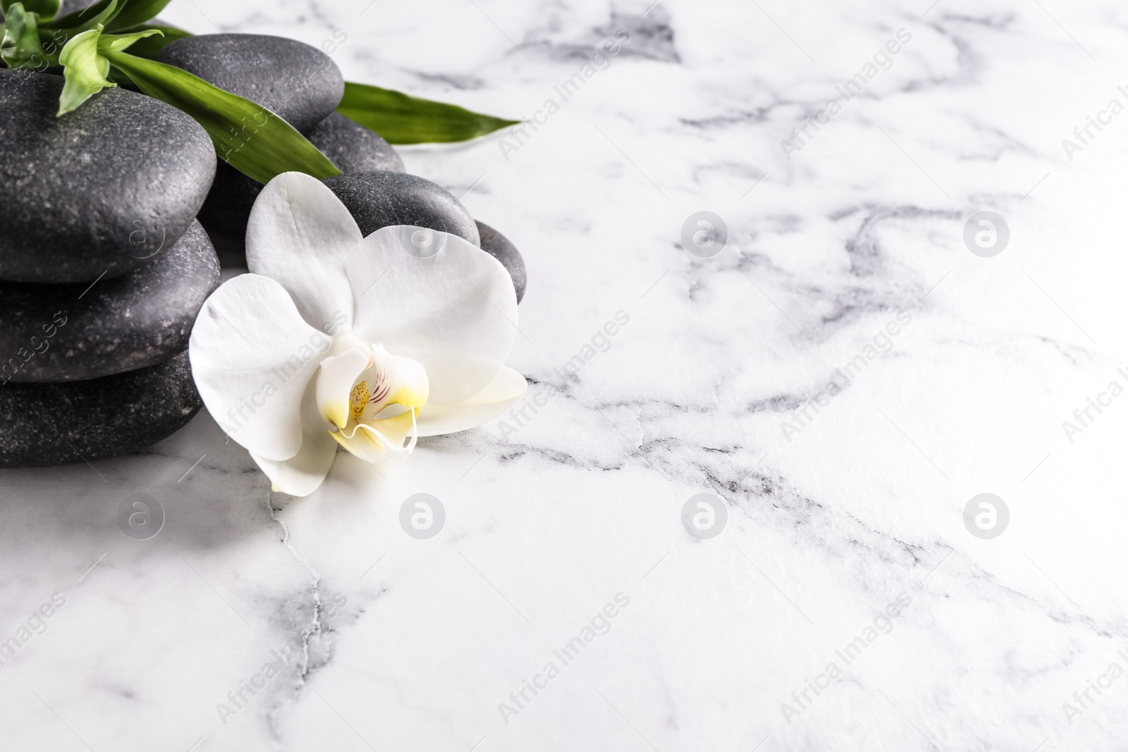 Photo of Spa stones, beautiful orchid flower and bamboo sprout on white marble table, space for text