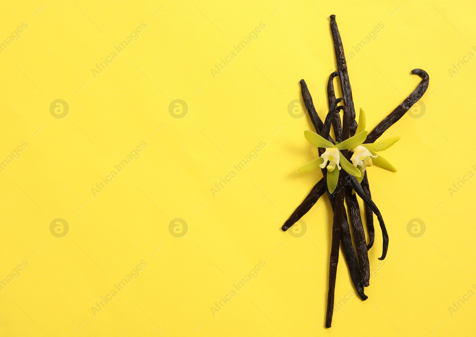 Photo of Vanilla pods and beautiful flowers on yellow background, top view. Space for text