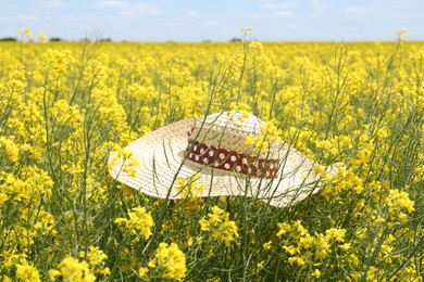 Photo of Women's hat on beautiful blooming rapeseed flowers outdoors