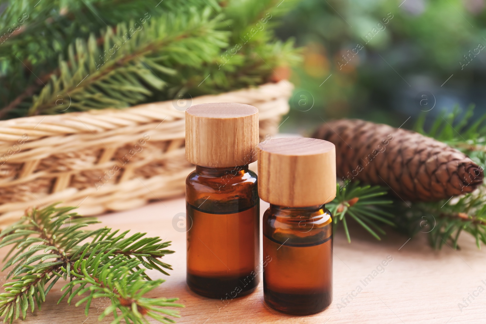 Photo of Bottles of pine essential oil, cone and branches on wooden table, closeup