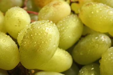 Photo of Fresh ripe juicy grapes as background, closeup