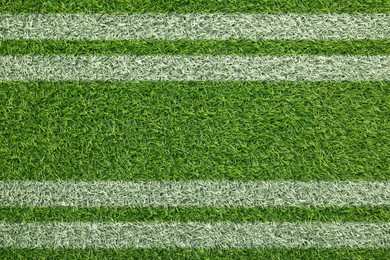 Green grass with white markings, top view