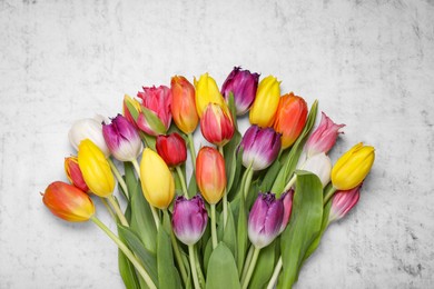 Beautiful colorful tulip flowers on white stone background, top view