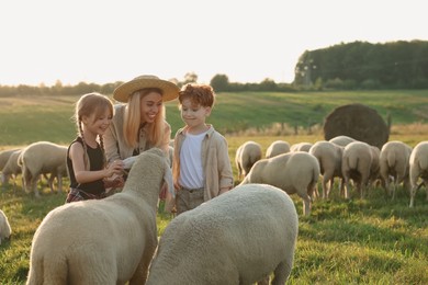 Photo of Mother and children with sheep on pasture. Farm animals