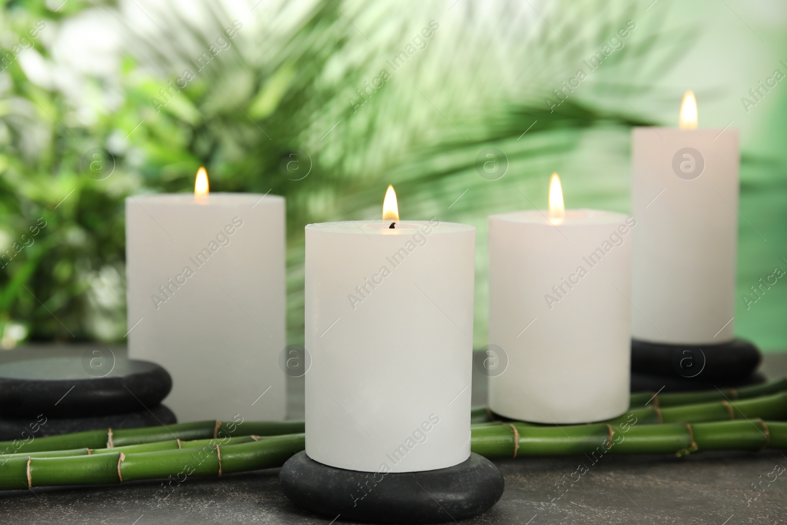 Photo of Burning candles, spa stones and bamboo sprouts on grey table against blurred green background