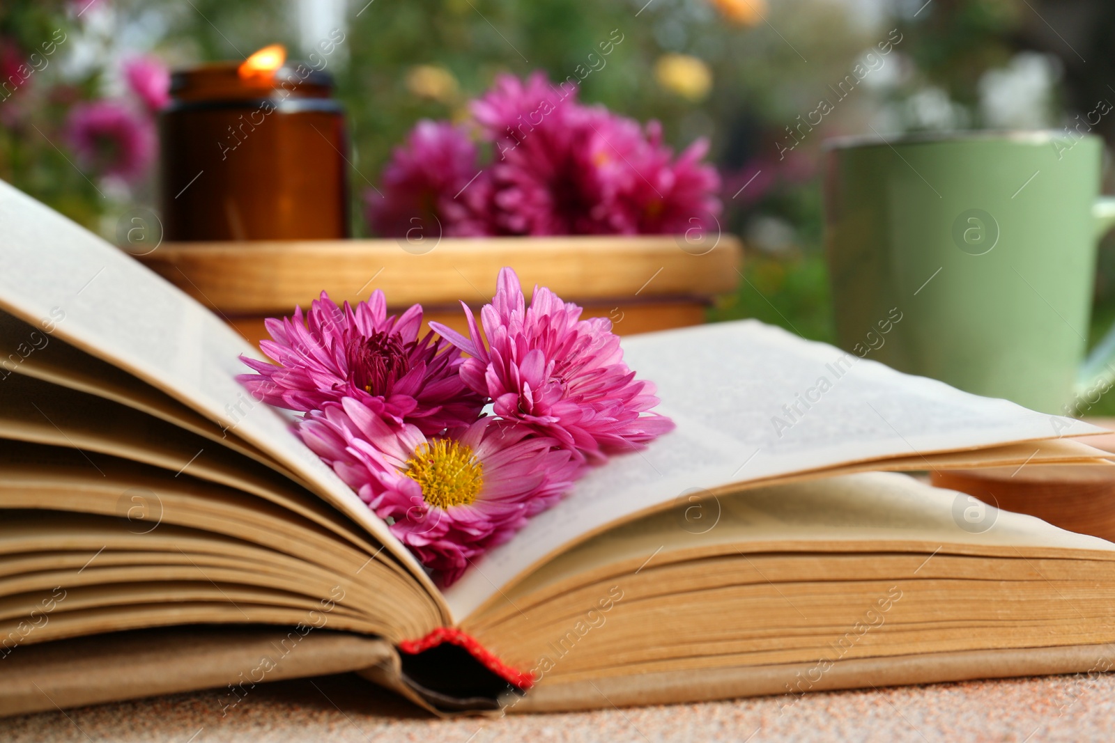 Photo of Book with chrysanthemum flowers as bookmark on beige textured table, closeup