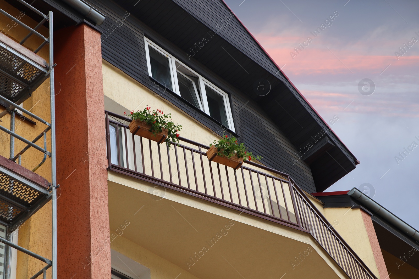 Photo of Balcony decorated with beautiful red flowers, low angle view