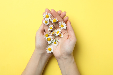 Woman holding chamomiles on yellow background, top view