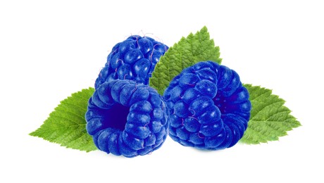 Image of Many fresh blue raspberries and green leaves isolated on white