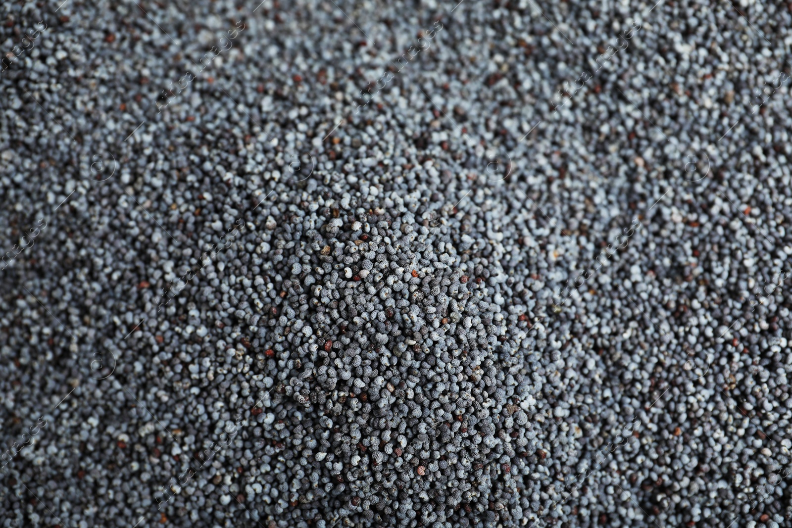 Photo of Whole poppy seeds as background, top view